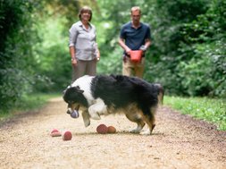 Artikel Traumatherapie Zwei Menschen und ein Hund