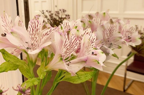 Blumenvase mit Blumen