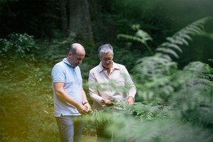 Psychologisches Therapiegespräch: Patient und Therapeut im Gespräch, dahinter Bäume 