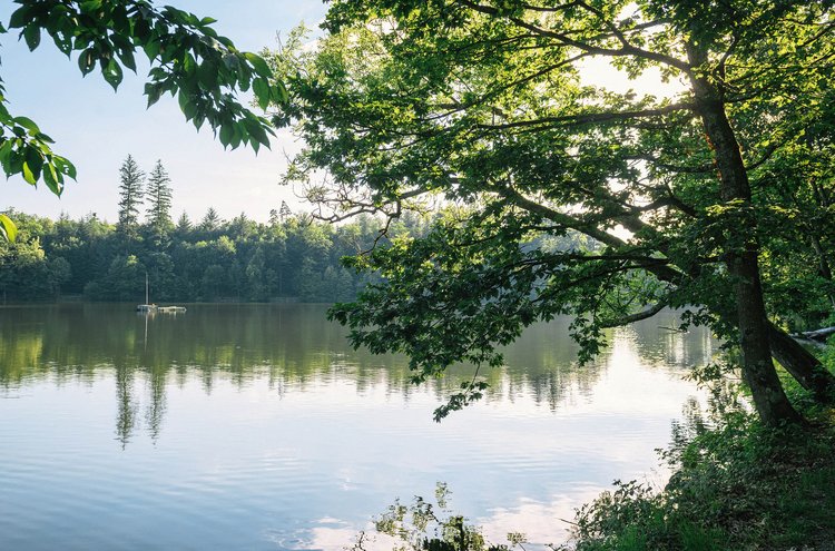 Neurofeedback-Therapie: Das Leben wieder genießen