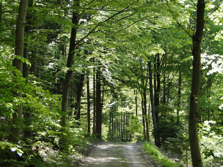 Natur Zentrum Isartal