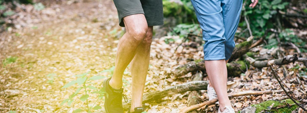 Metakognitives Training mkt