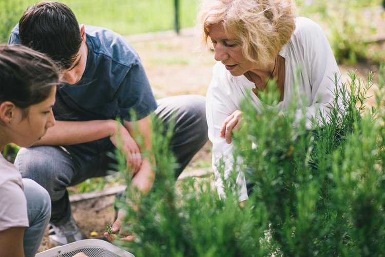 Therapeutin mit Patienten im Garten