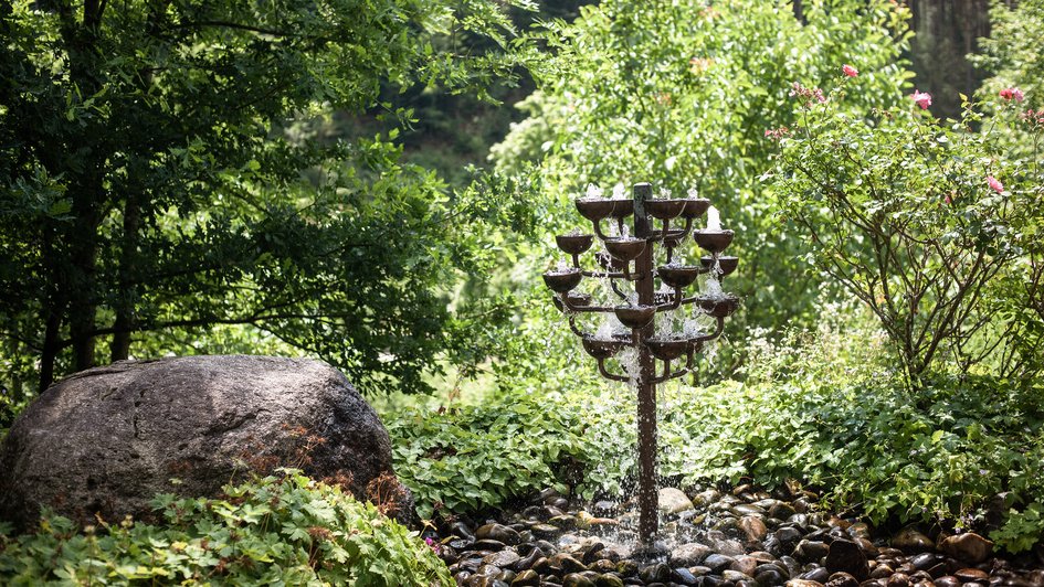 Spingbrunnen im Wald