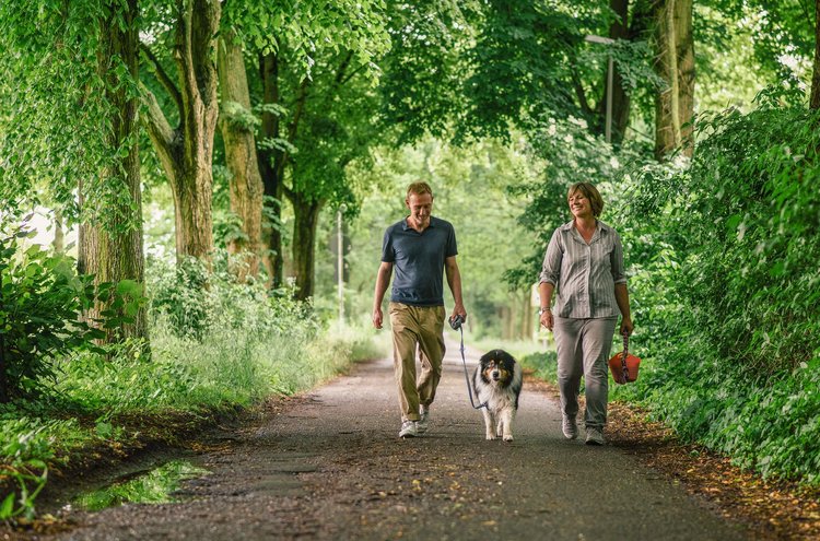 Junge Erwachsene, Mann und Frau mit Hund im Wald