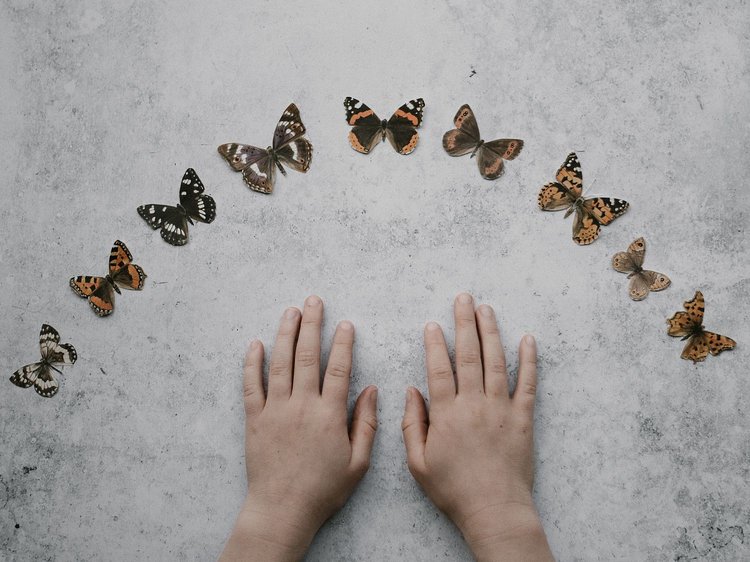 Kinderhände mit Schmetterlingen