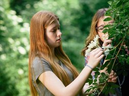 angehörige von depressiven
