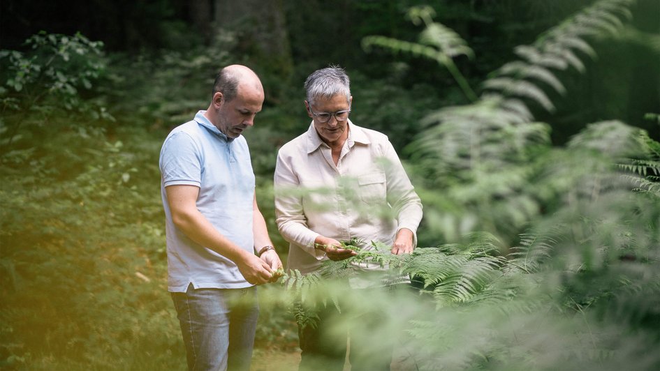 Eine Mann und eine Frau ertasten Blätter eines Strauchs.