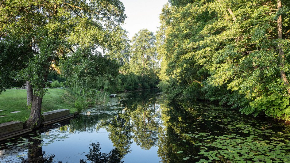 Ein Fluss, an dessen Ufer sich Büsche und Bäume befinden.