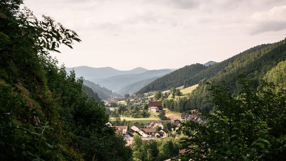 Panorama des Mittelgebirges mit bewaldeten Bergen. 