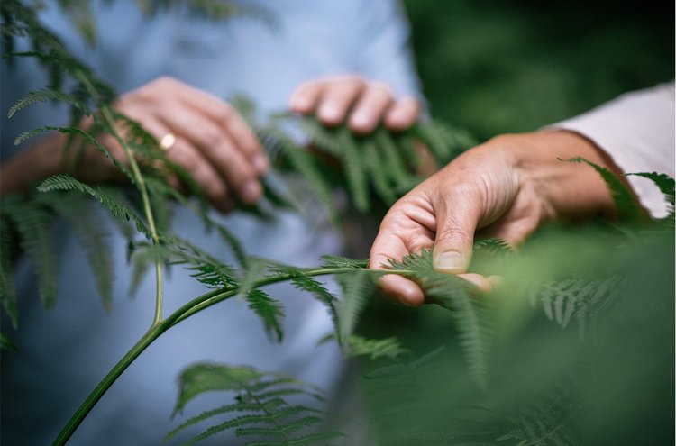 symptome neurasthenie