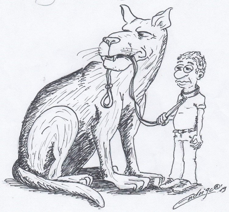 Artikel Schwerpunkt Schmerz Karikatur Mann mit großem Hund