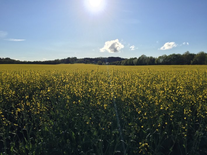 Therapieangebot Zentrum Isartal