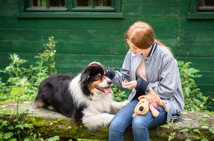 Tiergestützte Therapie mit Hund 
