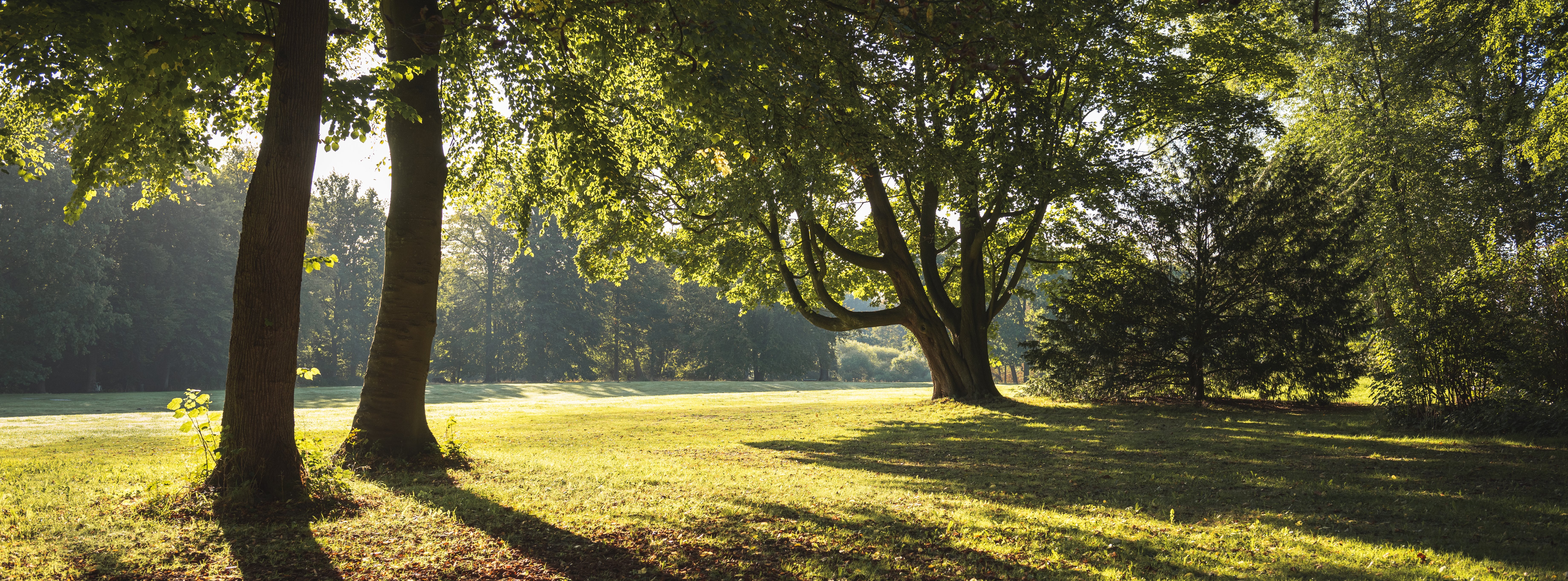 Oberberg Energieeffizienz