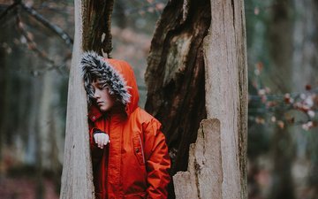 Artikel Eltern: Kind mit roter Jacke im Wald