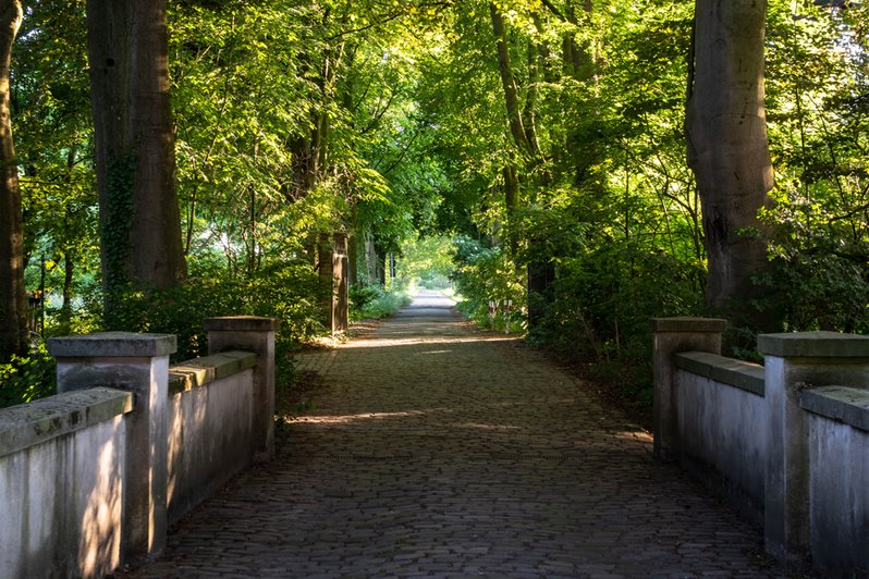 Großzügige Grünflächen am Wasserschloss 