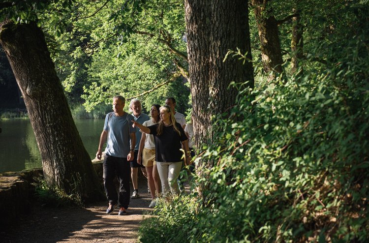 Artikel CFS Gruppe Menschen in einem Wald