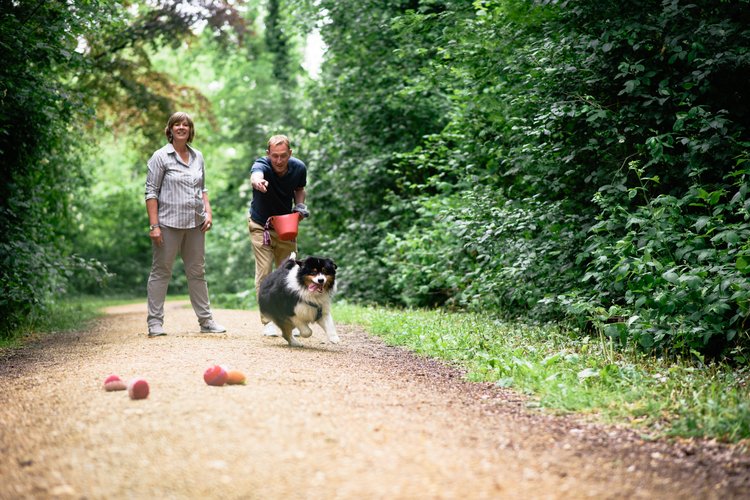 Hund spielt mit Menschen