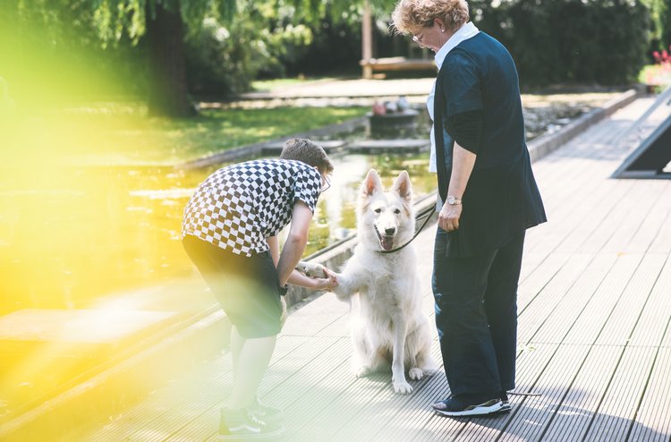 Therapie durch Tiere