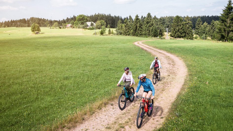 Drei Fahrradfahrer fahren auf einem Sandweg durch die Landschaft. Im Hintergrund Himmel und Bäume