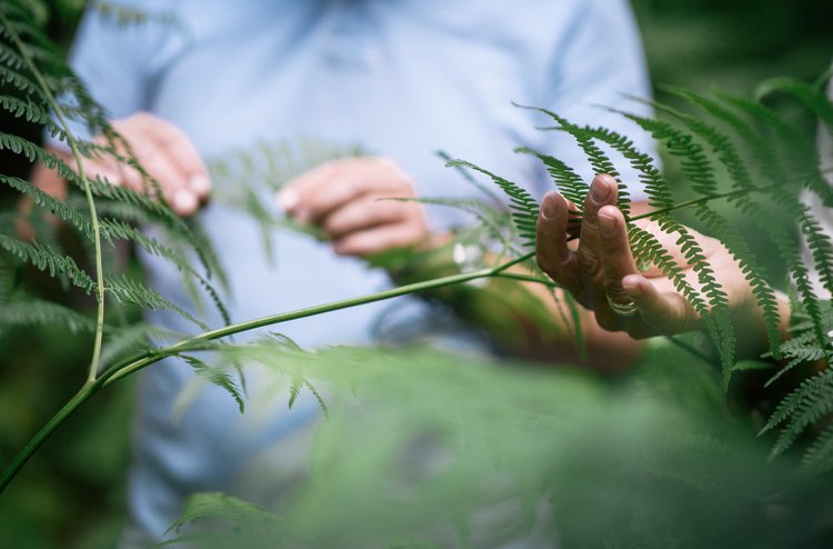 anhedonie und depression
