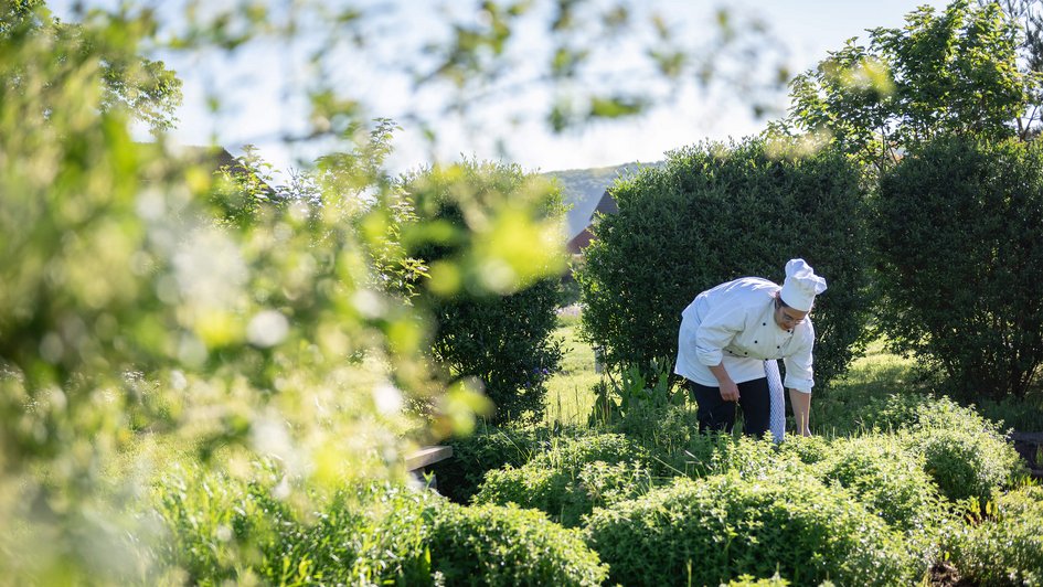 Koch sucht in einem Garten