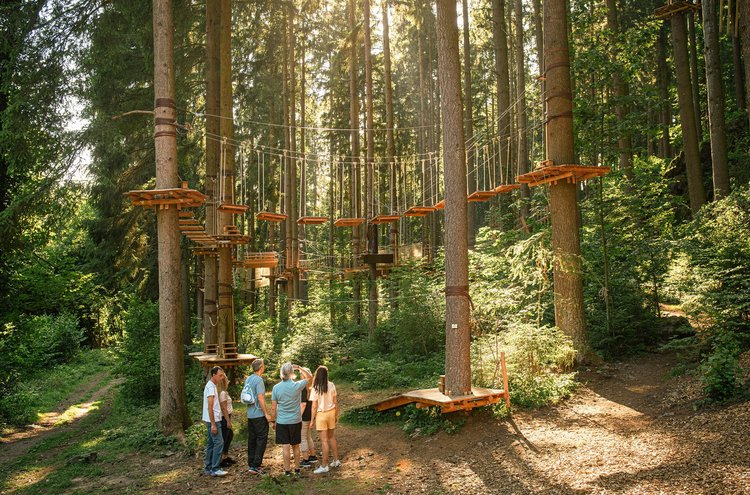 Artikel Chronischer Schmerz Gruppe im Kletterwald