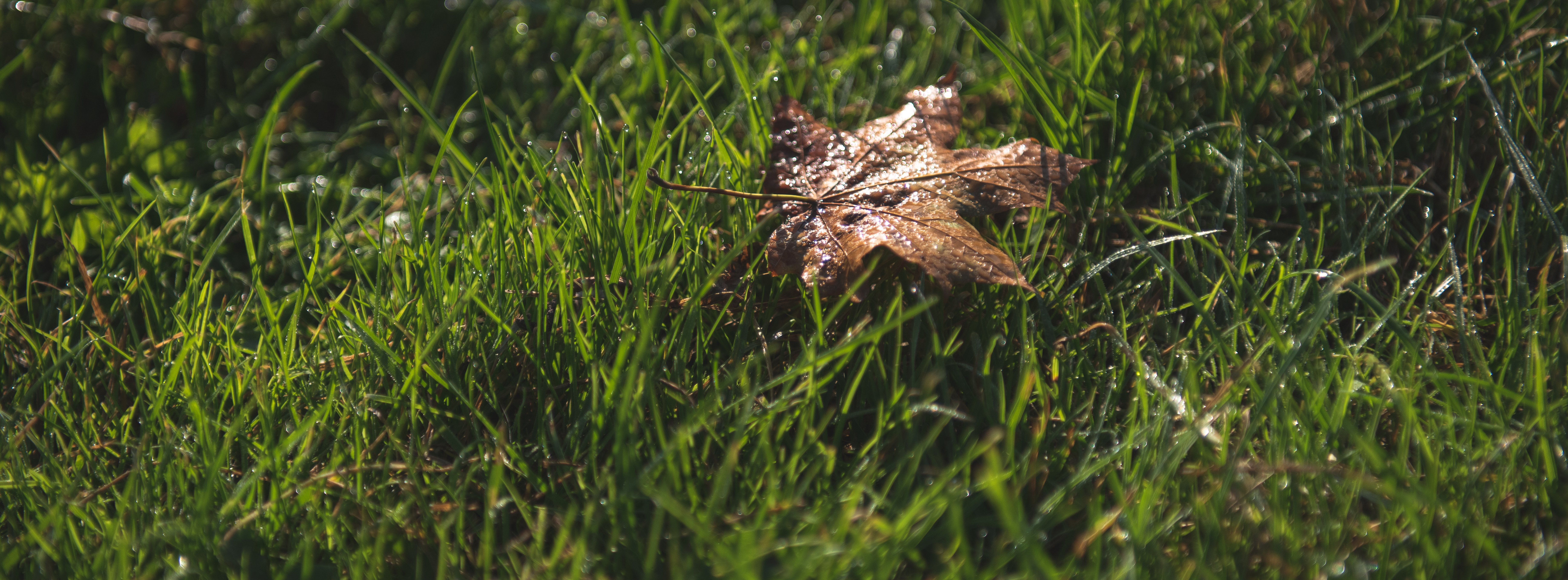 Fremdenfeindlichkeit